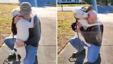 Shelter dog meets new family and hugs him right away