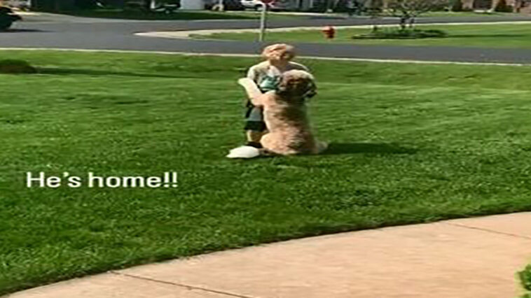 The dog hugs the child after coming home from school