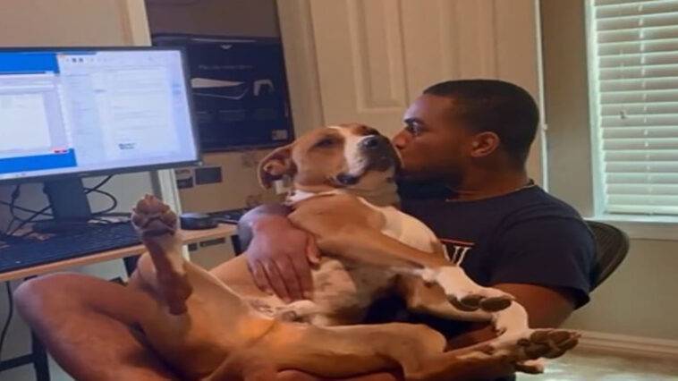 Man forms an unbreakable bond with the dog he initially refused to adopt