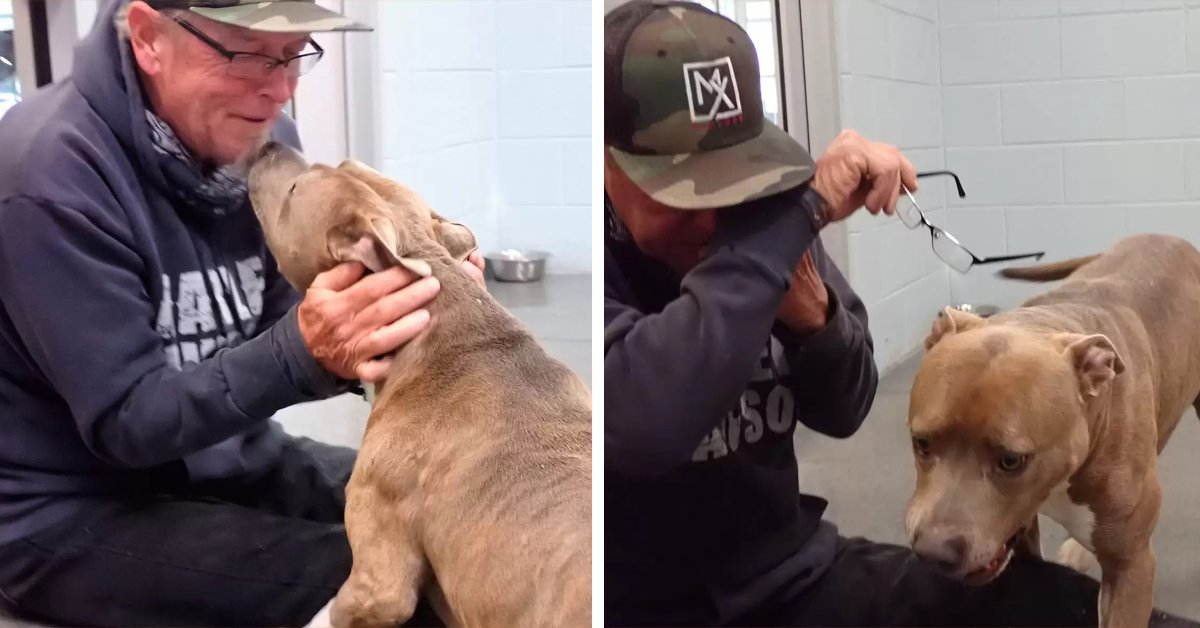 Missing Dog Couldn’t Believe That His Dad Found Him After Being Apart For 200 Days