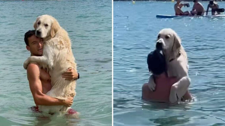 Dog Insists On Cuddling Dad In Water For The Sweetest Reason