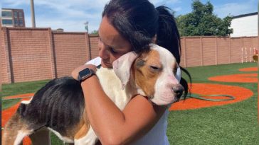 Stray Dog Who Couldn’t Stand Up Gives Rescuer Biggest Hug When She Starts To Feel Better