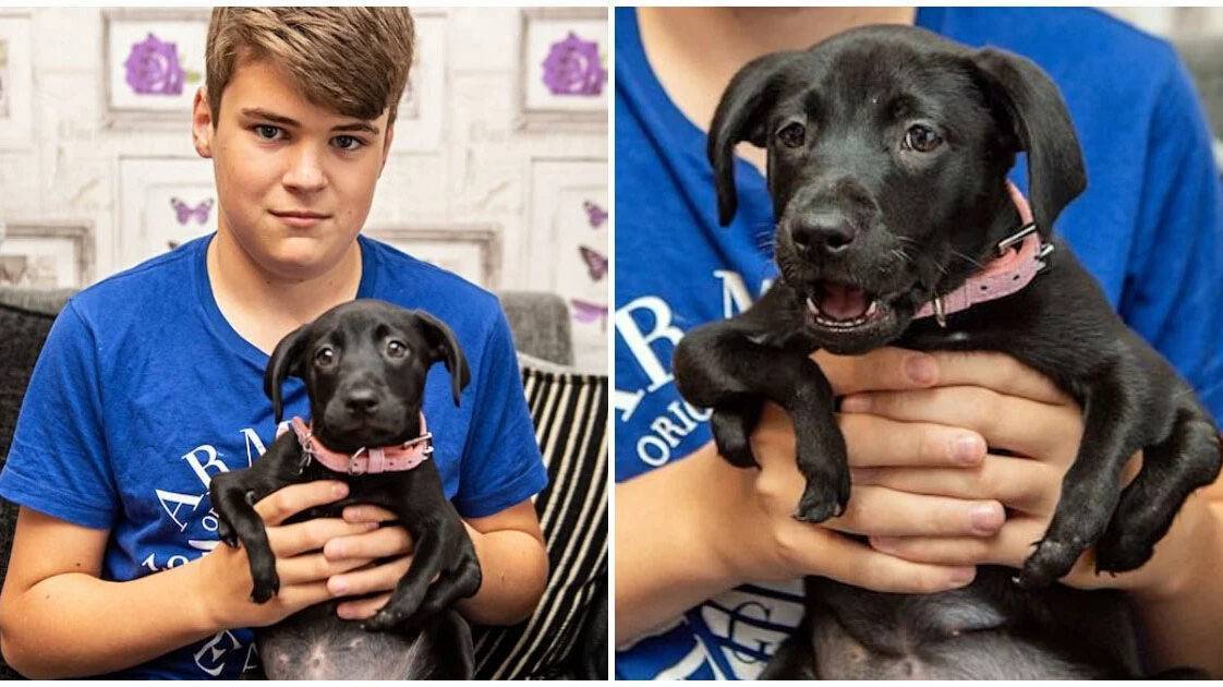 A Pup Who Was Born With 6-Legs Found Home With A Bullied Teen