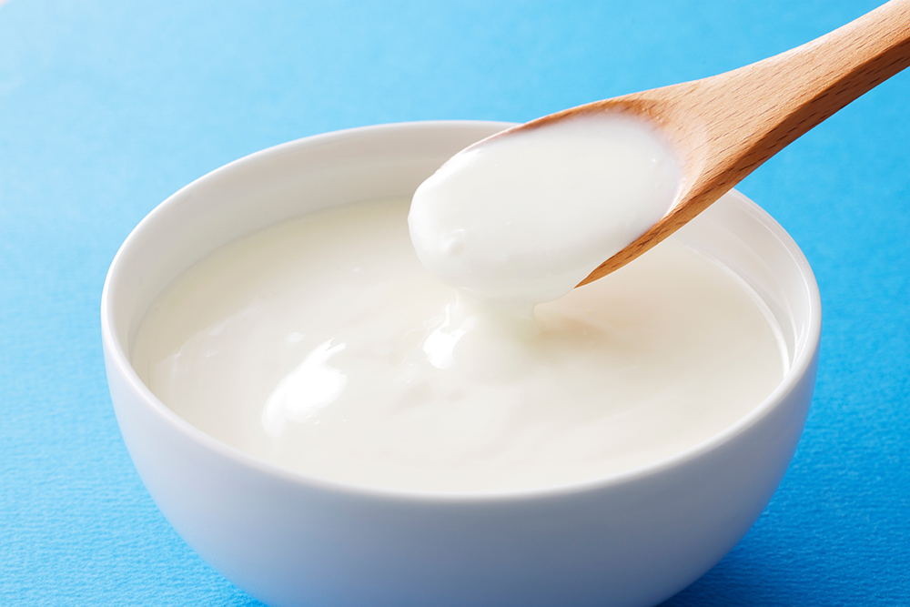 a bowl of plain yogurt best natural remedies for dogs allergies