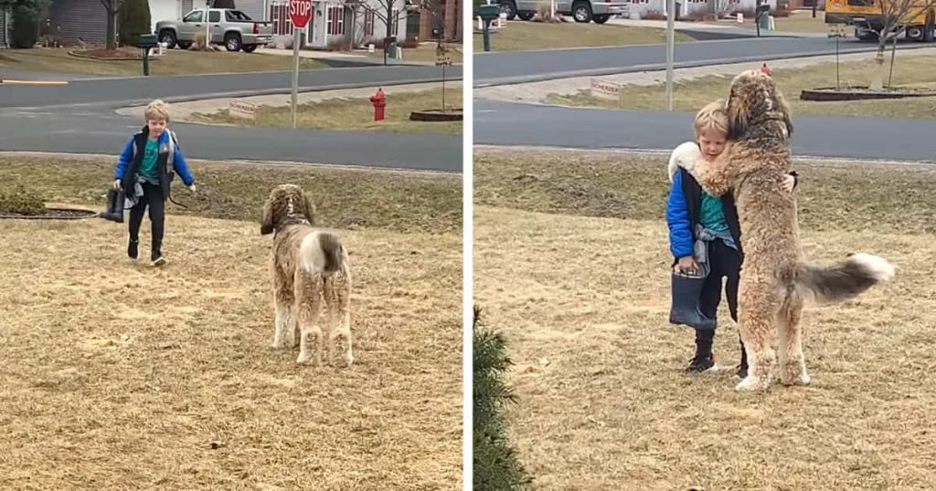 The dog hugs the child after coming home from school