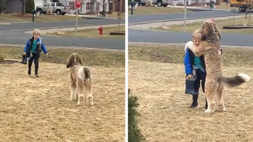 The dog hugs the child after coming home from school