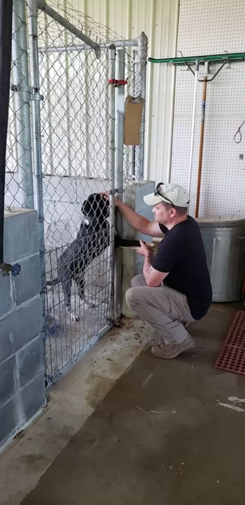 shelter dog reaches through kennel bars to hold hands 2