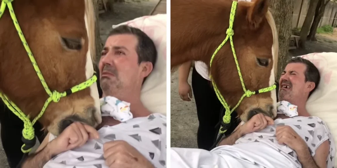 Man Is Moved To Tears During Unforgettable Visit From A Gentle Horse