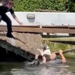 Police See Animal Drowning In Canal And Make A Split-Second Decision