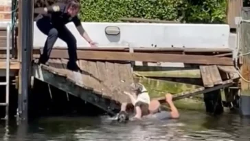 Police See Animal Drowning In Canal And Make A Split-Second Decision