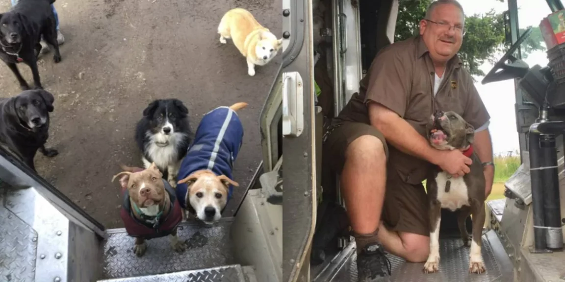 UPS Driver Has The Sweetest Relationship With All The Pups On HIs Route