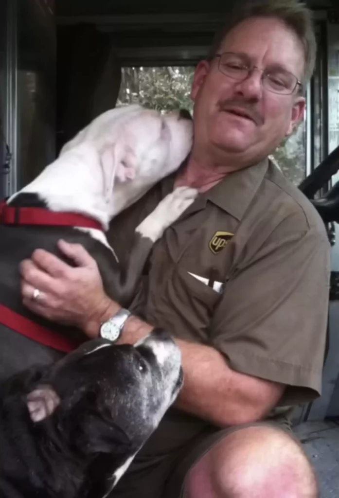 ups driver loves every pitbulls 2