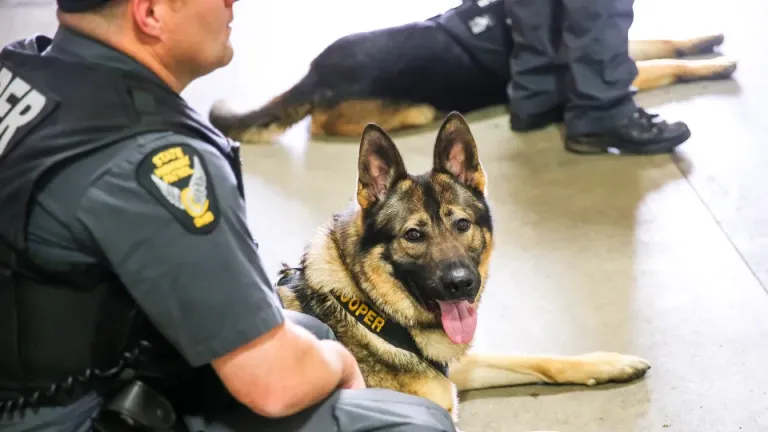 /vests-for-police-dogs 2