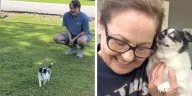 Blind Senior Dog's Heartwarming Reaction to Recognizing Her Favorite Person